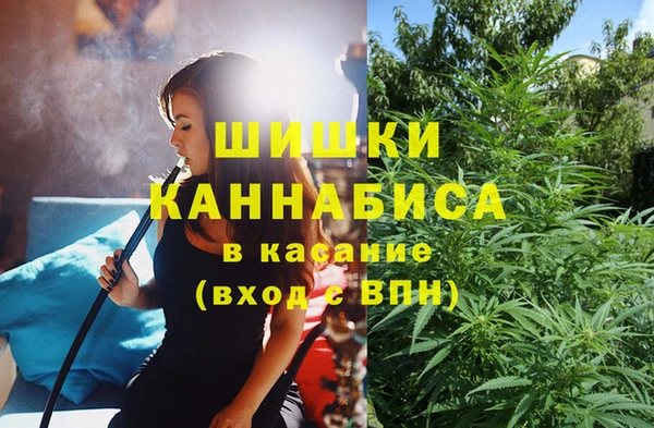 ECSTASY Армянск