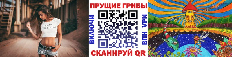 Псилоцибиновые грибы MAGIC MUSHROOMS  Купить где  Лениногорск 